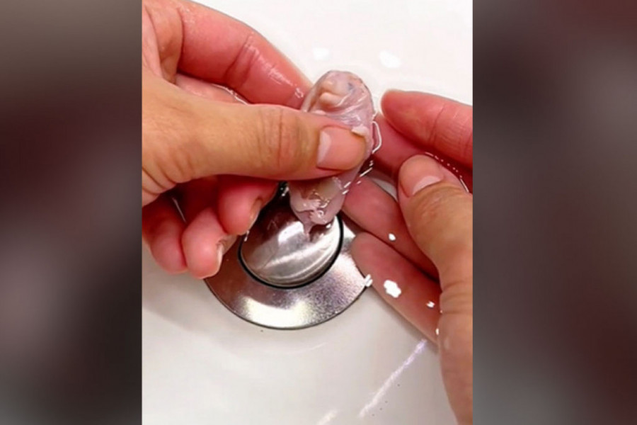 PRONAŠLA JE ČUDNO MAJUŠNO STVORENJE U SVOJOJ BAŠTI: Kad je videla u šta je životinja izrasla, nije mogla da dođe sebi od šoka (VIDEO)