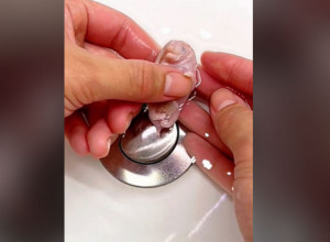 PRONAŠLA JE ČUDNO MAJUŠNO STVORENJE U SVOJOJ BAŠTI: Kad je videla u šta je životinja izrasla, nije mogla da dođe sebi od šoka (VIDEO)