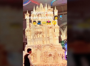 SVI SU ZANEMELI KAD JE UNETA SVADBENA TORTA:  Ovako nešto još niste videli, gosti u neverici gledali poslastičarsko čudo! (VIDEO)