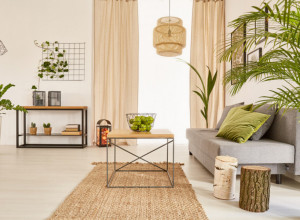 IMATE PROBLEM SA ALERGIJAMA: Ove četiri sobne biljke odmah izbacite iz kuće! (FOTO)