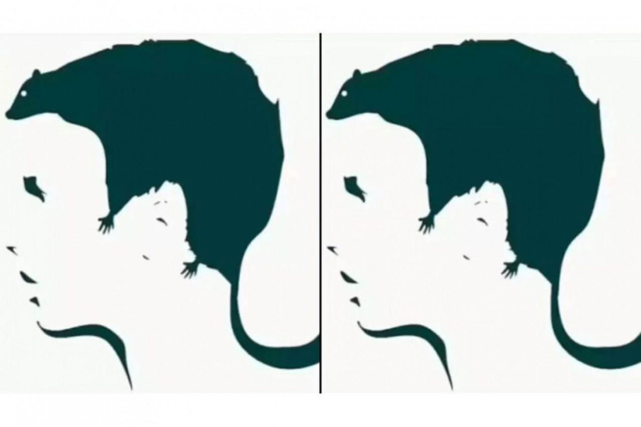 KOJI JE VAŠ NAJVEĆI STRAH: Optička iluzija ima odgovor koji će vas iznenaditi! (FOTO