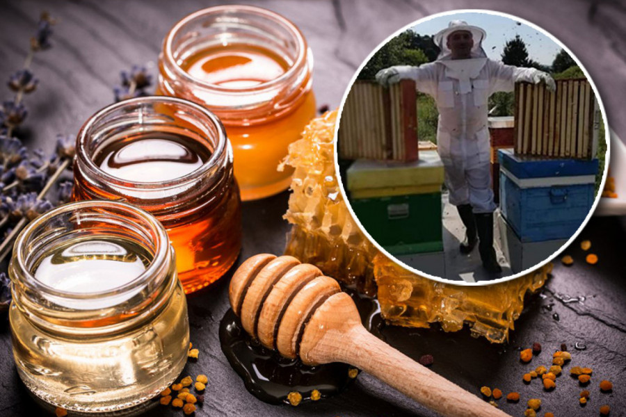 KAKO DA PREPOZNAMO PRAVI MED I DA LI ON IMA ROK TRAJANJA: Pitali smo pčelara da nam razjasni ovu nedoumicu, evo u čemu svi grešimo!