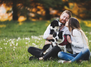 IGRANJE SA PSOM POBOLJŠAVA ZDRAVLJE LJUDI: Naučnici dokazali prednosti druženja sa kućnim ljubimcima