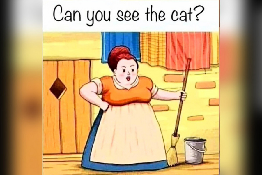 OPTIČKA ILUZIJA KOJA JE ZBUNILA CEO INTERNET: Koliko je vama potrebno vremena da primetite mačku?! (FOTO+VIDEO)