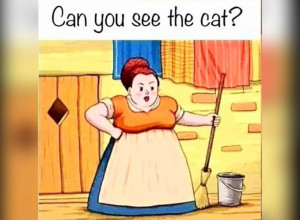 OPTIČKA ILUZIJA KOJA JE ZBUNILA CEO INTERNET: Koliko je vama potrebno vremena da primetite mačku?! (FOTO+VIDEO)