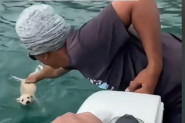 DECA SU VIKALA SA PALUBE UPIRUĆI PRSTOM KA MORU: Nesrećna životinja se koprcala u vodi pokušavajući da se održi na površini daleko od kopna! (VIDEO)