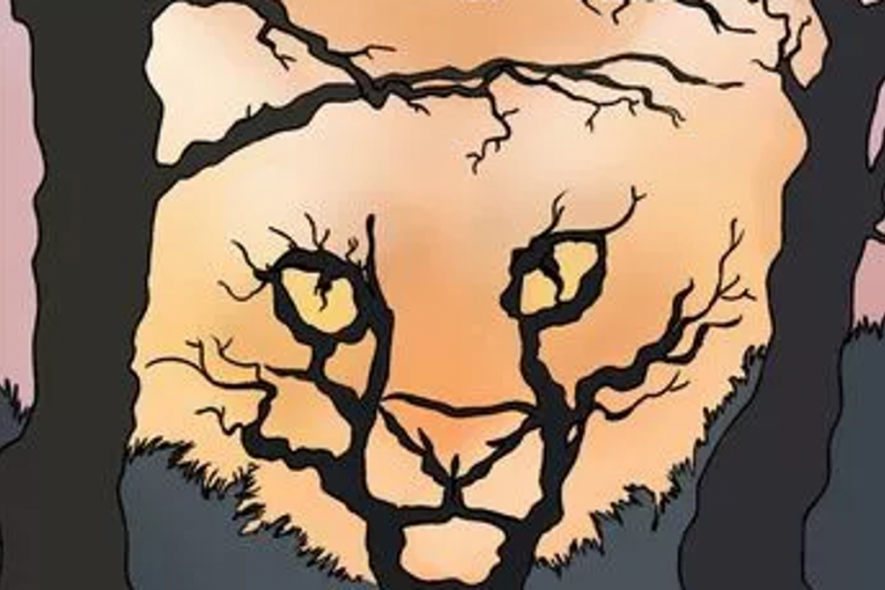 OPTIČKA ILUZIJA OTKRIVA ZA ČIM VAŠE SRCE ŽUDI: Odgovor se krije iza simbola koji ste prvo ugledali  (FOTO)