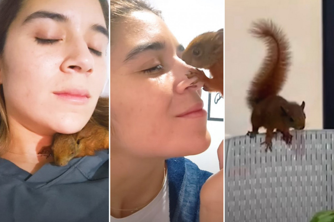DEVOJKA JE PRUŽILA UTOČIŠTE BEBI VEVERICI: Životinja joj je uzvratila na neverovatan način! (VIDEO)
