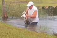 DEKA JE HRABRO USKOČIO U VODU DA SPASI SVOG PSA: Ljudi su u neverici gledali kako čupa štene iz čeljusti aligatora! (VIDEO)