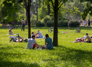 ZARAŽENI KRPELJI VREBAJU IZ TRAVE I PRENOSE OPASNE BOLESTI: Ujed ovog parazita može da ima ozbiljne posledice! (FOTO)