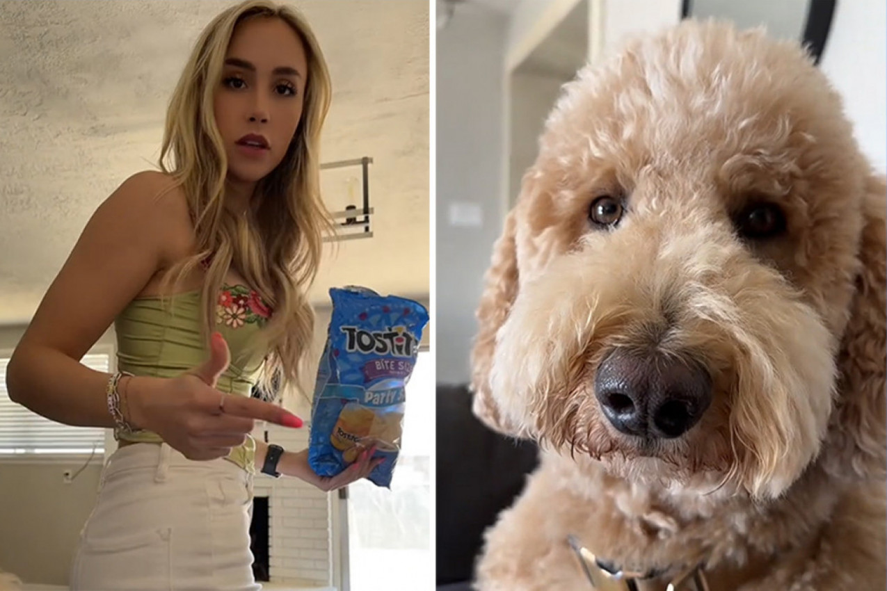 PRESLATKI PAS NE DOPUŠTA VLASNICI DA SEDNE PORED DEČKA: "Uporno mi krade partnera!" (VIDEO)