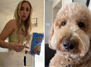 PRESLATKI PAS NE DOPUŠTA VLASNICI DA SEDNE PORED DEČKA: "Uporno mi krade partnera!" (VIDEO)