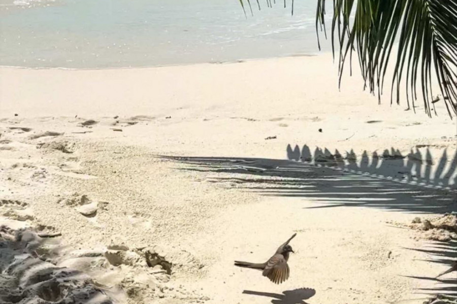 Prirodne lepote Sejšela