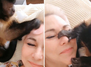 LEŽALA JE NA KREVETU A ONDA JE MAJMUN SKOČIO NA NJU I URADIO NEŠTO NEVEROVATNO: Svi pričaju o potezu ovog ljubimca (VIDEO)