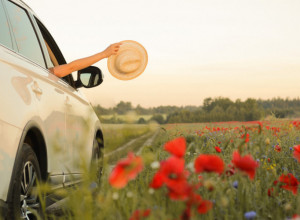 PRIRODNA LEPOTA NA SAMO SAT VREMENA OD BEOGRADA: Vikend provedite uživajući daleko od gradske gužve