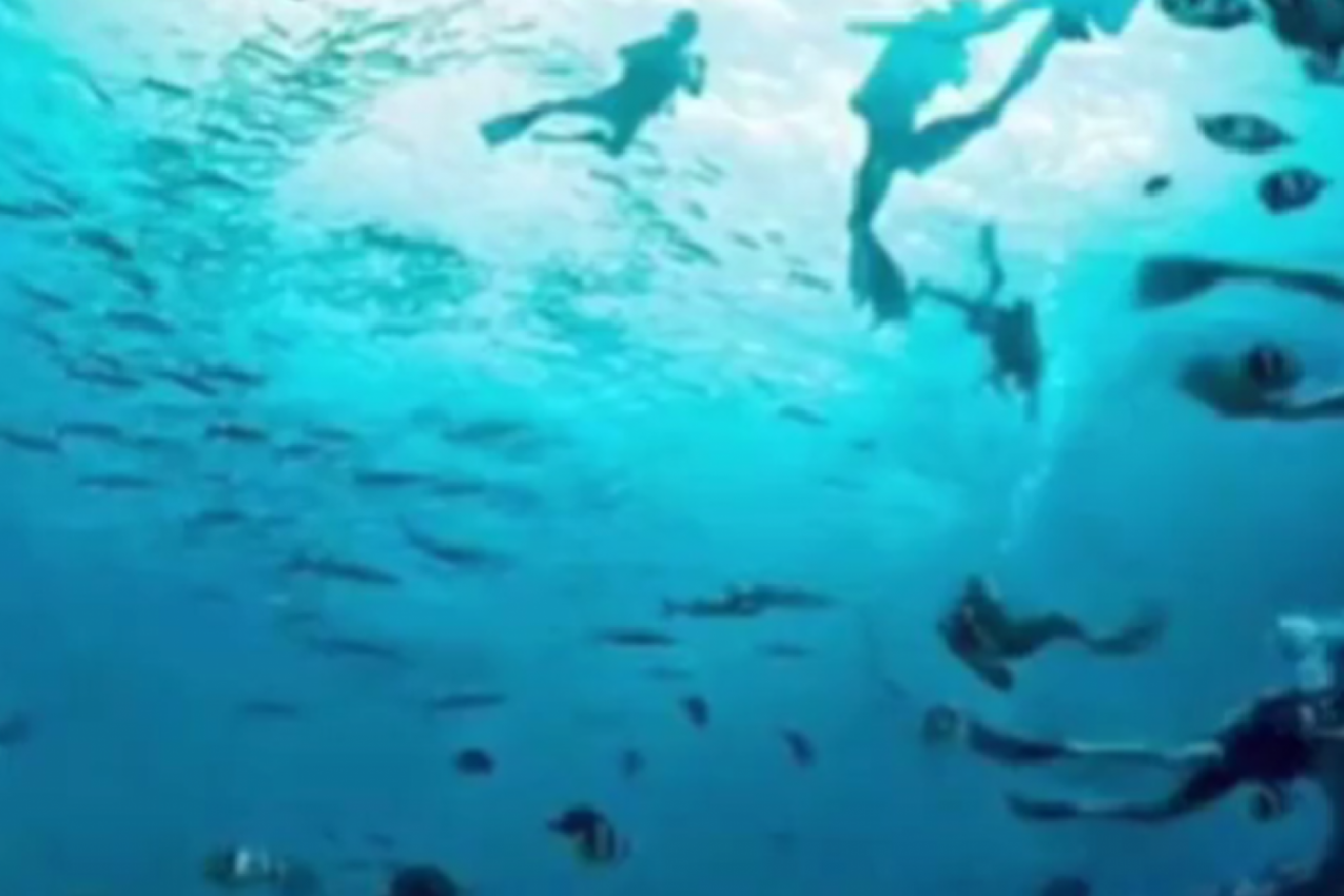 OPTIČKA ILUZIJA OTKRIVA DA LI VAS DRUGI MOGU LAKO PREVARITI: Šta prvo vidite na fotografiji? (FOTO)