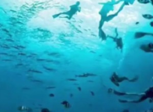 OPTIČKA ILUZIJA OTKRIVA DA LI VAS DRUGI MOGU LAKO PREVARITI: Šta prvo vidite na fotografiji? (FOTO)