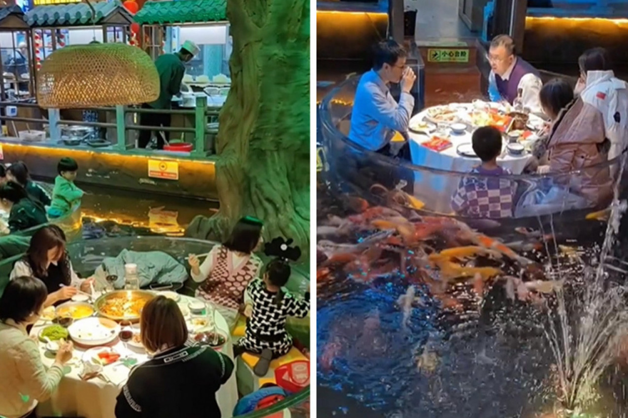 OVAKAV RESTORAN JOŠ NISTE VIDELI: Da li biste jeli dok ribe plivaju oko vas? (VIDEO)