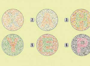 KOJI POSAO JE IDEALAN ZA VAS: Ovaj test nepogrešivo otkriva vaše skrivene talenta! (FOTO)