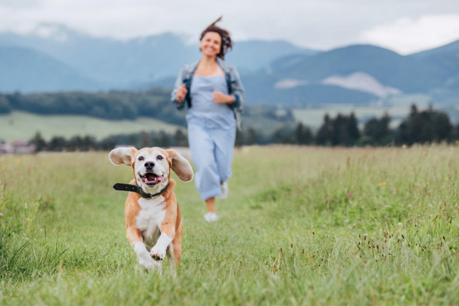 3 TOP DESTINACIJE NA KOJE MOŽETE SA LJUBIMCEM TOKOM PRAZNIKA: Raj na 3 sata vožnje od Beograda za male pare! (FOTO)