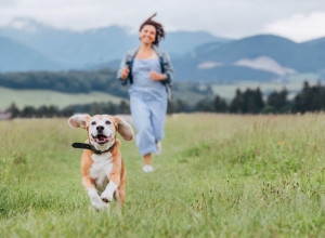 3 TOP DESTINACIJE NA KOJE MOŽETE SA LJUBIMCEM TOKOM PRAZNIKA: Raj na 3 sata vožnje od Beograda za male pare! (FOTO)