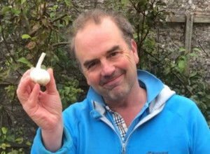 UZGAJANJE BELOG LUKA NIKAD LAKŠE: Kupite u marketu glavicu i stavite u vodu, rezultat je fantastičan!