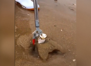 PAZITE KAKO HODATE NA PLAŽI: Iz peska virila školjka, a kada je čovek povukao - izašla je morska neman! Ljudi su izbezumljeni (VIDEO)