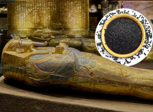 OVO SEMENJE JE NAĐENO ČAK I U TUTANKAMONOVOJ GROBNICI: Smanjuje upalu, olakšava alergije, jača srce i regeneriše kožu!