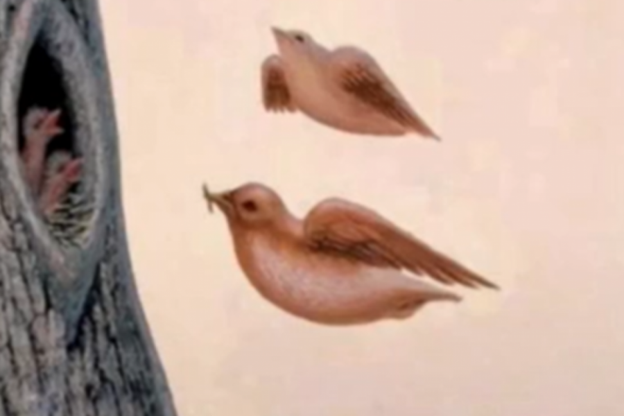 OPTIČKA ILUZIJA IMA ODGOVOR: Da li se previše ističete i osuđujete ili ste skriveni negde u senci (FOTO)