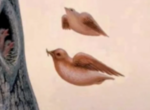 OPTIČKA ILUZIJA IMA ODGOVOR: Da li se previše ističete i osuđujete ili ste skriveni negde u senci (FOTO)