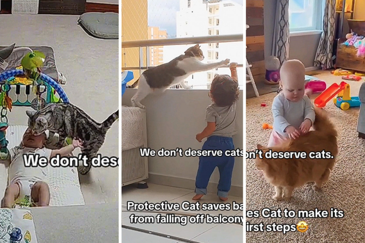 BEBA SE ZACENILA OD PLAČA, A REAKCIJA MAČKE JE ŠOK: Skočila je kod nje u krevetac i jednim potezom rešila situaciju!