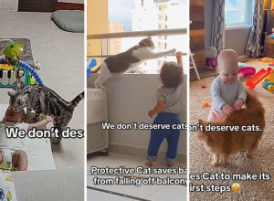 BEBA SE ZACENILA OD PLAČA, A REAKCIJA MAČKE JE ŠOK: Skočila je kod nje u krevetac i jednim potezom rešila situaciju!