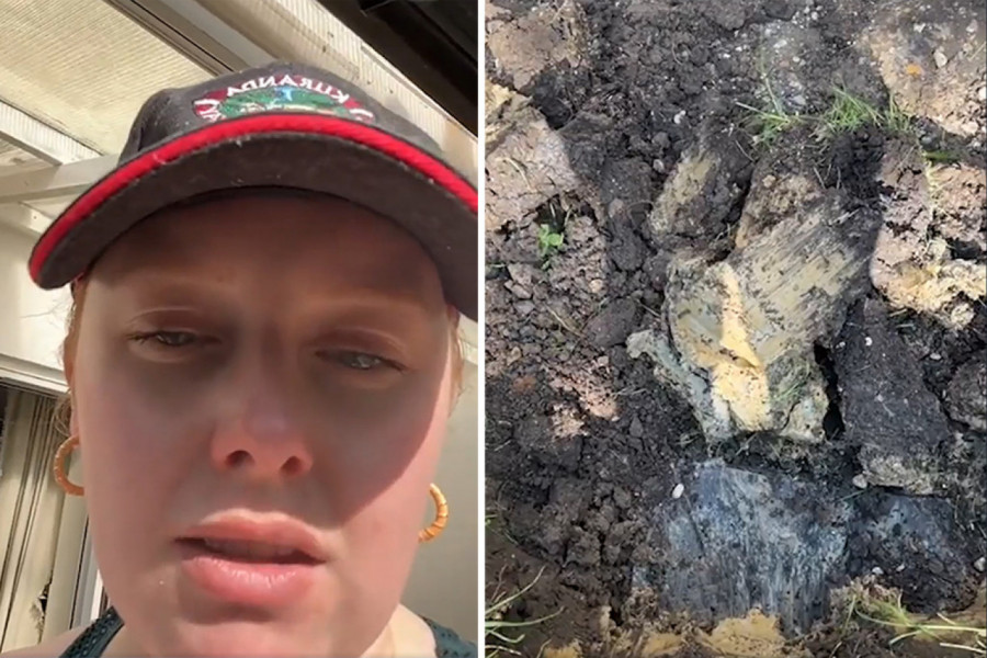 PRONAŠLA JE MISTERIOZNU KUTIJU U DVORIŠTU, UNUTRA OTKRILA OVO: Da je znala, nikada joj ne bi prišla ni ni blizu! (VIDEO)