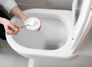 EVO ZAŠTO JAPANCI STAVLJAJU BRAŠNO U WC ŠOLJU: Ova namirnica radi kao magični prah, rezultati su šok!