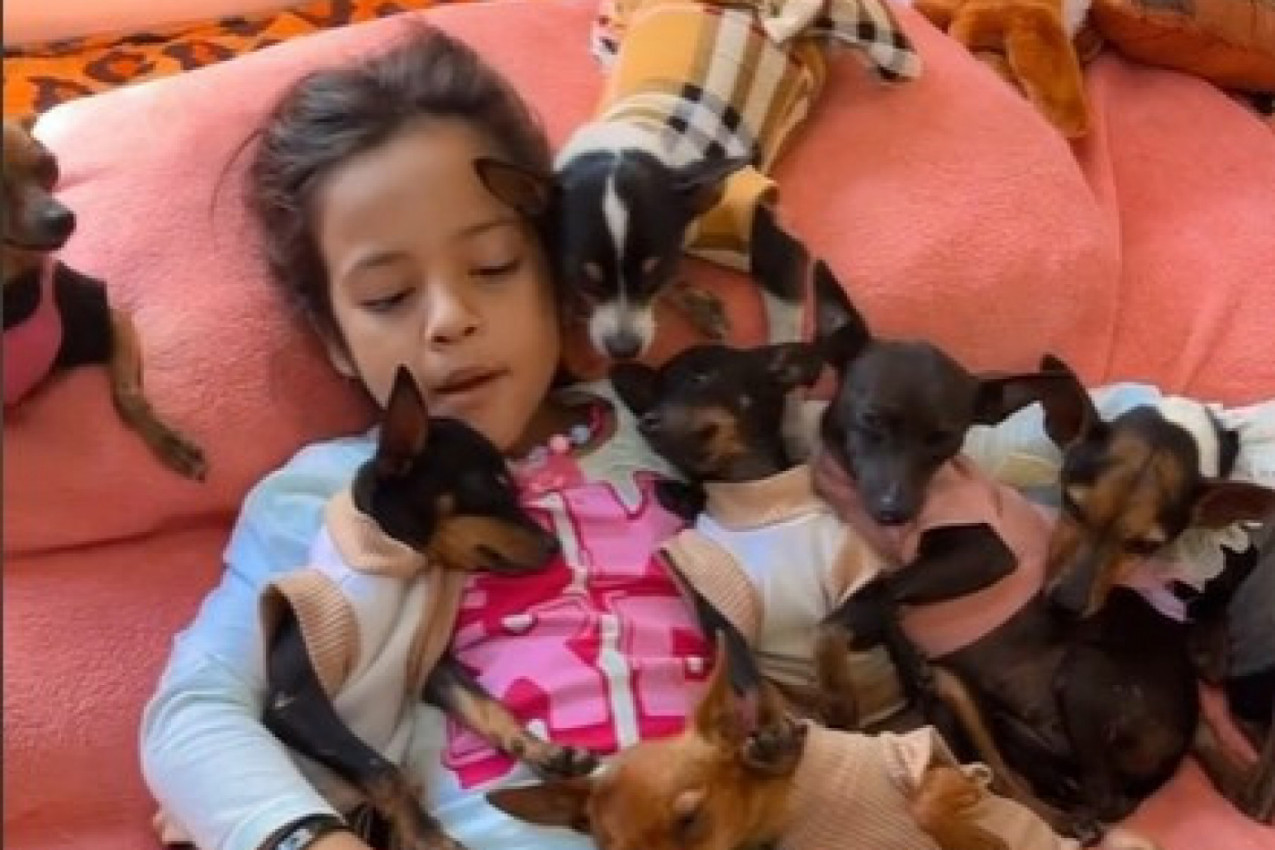 OVO JE NEŠTO NAJSLAĐE ŠTO ĆETE VIDETI DANAS: Uspavljuje životinje kao bebe, a one su se prepustile njenoj uspavanki