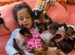 OVO JE NEŠTO NAJSLAĐE ŠTO ĆETE VIDETI DANAS: Uspavljuje životinje kao bebe, a one su se prepustile njenoj uspavanki