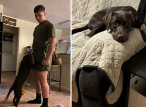 KUPILI SU PRESLATKO ŠTENE I ODMAH GA ZAVOLELI: Vlasnici u šoku, pitaju se šta se desilo sa njihovim psom (VIDEO)