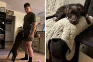 KUPILI SU PRESLATKO ŠTENE I ODMAH GA ZAVOLELI: Vlasnici u šoku, pitaju se šta se desilo sa njihovim psom (VIDEO)