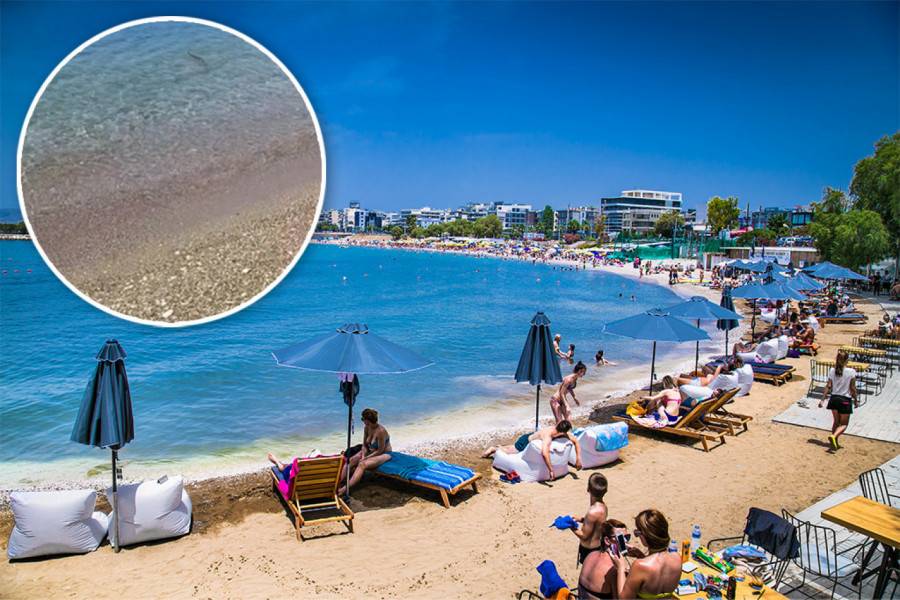 JEZIV PRIZOR NA OMILJENOM LETOVALIŠTU SRBA: Ovo stvorenje je izronilo iz mora i preplašilo turiste u Grčkoj (VIDEO)