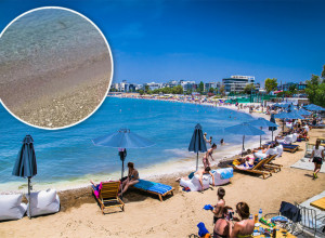 JEZIV PRIZOR NA OMILJENOM LETOVALIŠTU SRBA: Ovo stvorenje je izronilo iz mora i preplašilo turiste u Grčkoj (VIDEO)