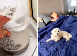 DOŠAO KUĆI, OTIŠAO U TOALET I SAZNAO DA GA ŽENA VARA: Ljubavnik njegove supruge mu ostavio bizarnu poruku (VIDEO)