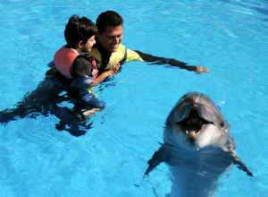 DELFINARIJUM STIŽE U SRBIJU! Evo šta je delfinoterapija i kako utiče na decu s autizmom