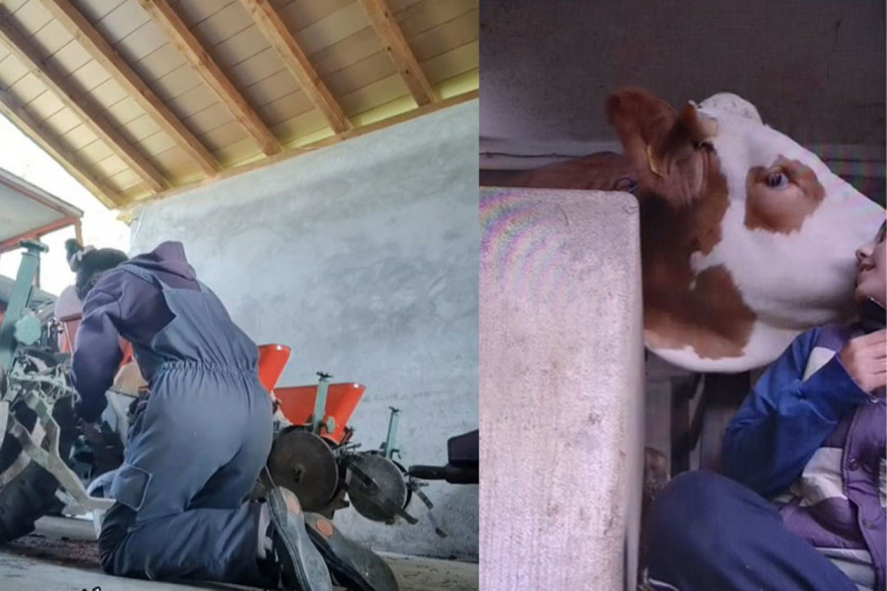 ANĐELIJA PRE ŠKOLE HRANI KRAVE, A ONDA UNIFORMU ZAMENI ZA HALJINU: Priča koja će vam ogrejati srce i dušu (VIDEO)