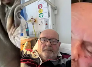 PAS MU JE SAŽVAKAO PRST DO KOSKE I TAKO SPASAO ŽIVOT: Ispostavilo se da mu je učinio uslugu, jer je u bolnici saznao OVO