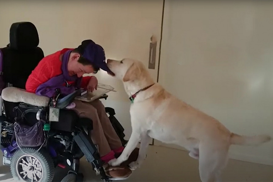 SA 43 GODINE SAM PLATILA MUŠKARCU DA IZGUBIM NEVINOST: Žena u kolicima kaže da joj je to najbolja odluka u životu!