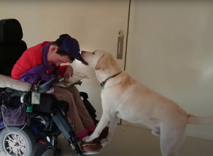 SA 43 GODINE SAM PLATILA MUŠKARCU DA IZGUBIM NEVINOST: Žena u kolicima kaže da joj je to najbolja odluka u životu!