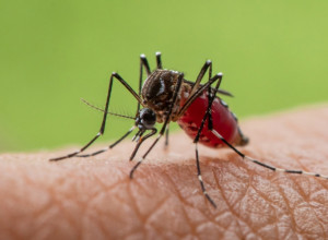 SUPER TRIK KOJI ZA 20 SEKUNDI ELIMINIŠE NESNOSNI SVRAB POSLE UJEDA KOMARCA: Sve što vam treba je kašika (VIDEO)