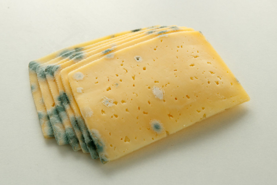 KAKO DA SPREČITE BUĐANJE SIRA? Uz genijalan kućni trik biće svež nedeljama!