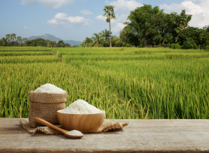 STAVITE TEGLICU PIRINČA U SVAKI ORMAN, EFEKAT ĆE BITI SASVIM NEOČEKIVAN! Gledajte šta će se dogoditi posle 24 sata