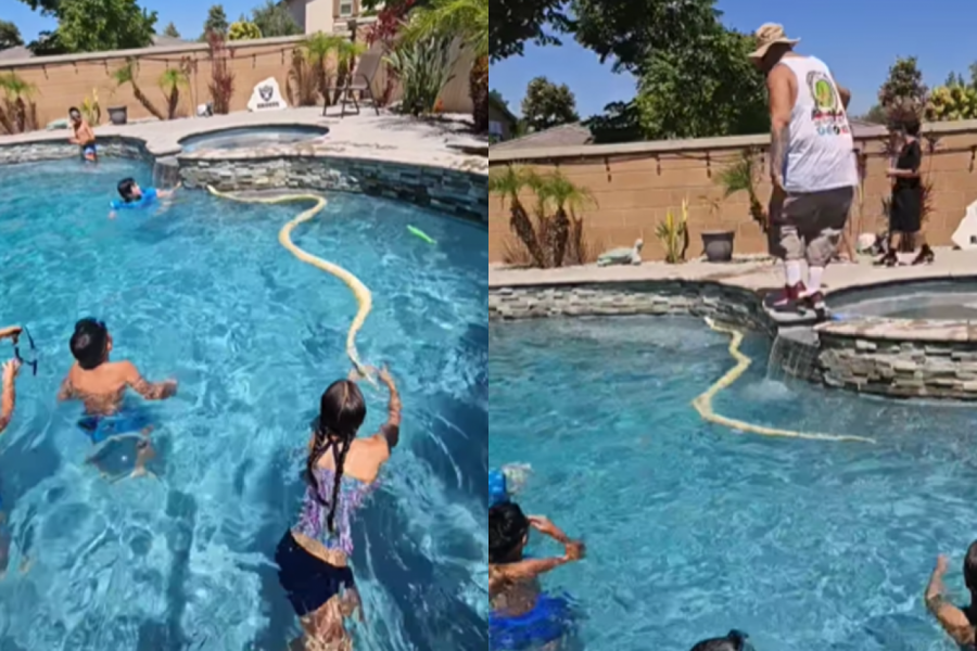 PITON UPAO  U BAZEN MEĐU DECU: Ljudi ostali zaleđeni u mestu kada su saznali šta se stvarno krije iza toga (VIDEO)